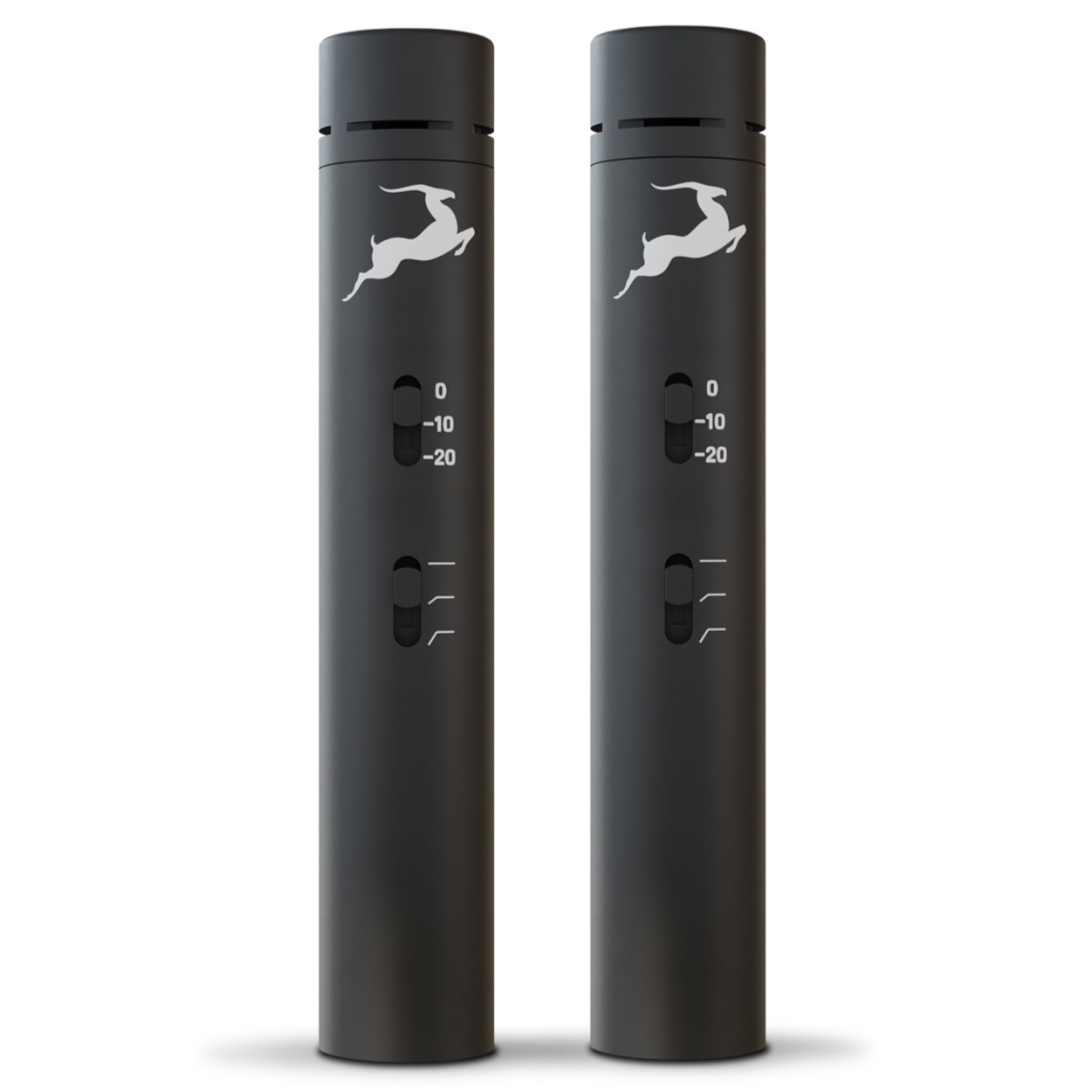 Antelope Edge Note Bundle