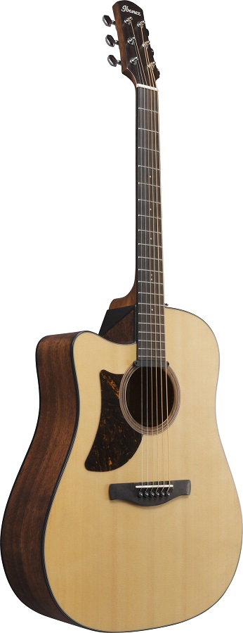 Ibanez-AAD170LCE_3