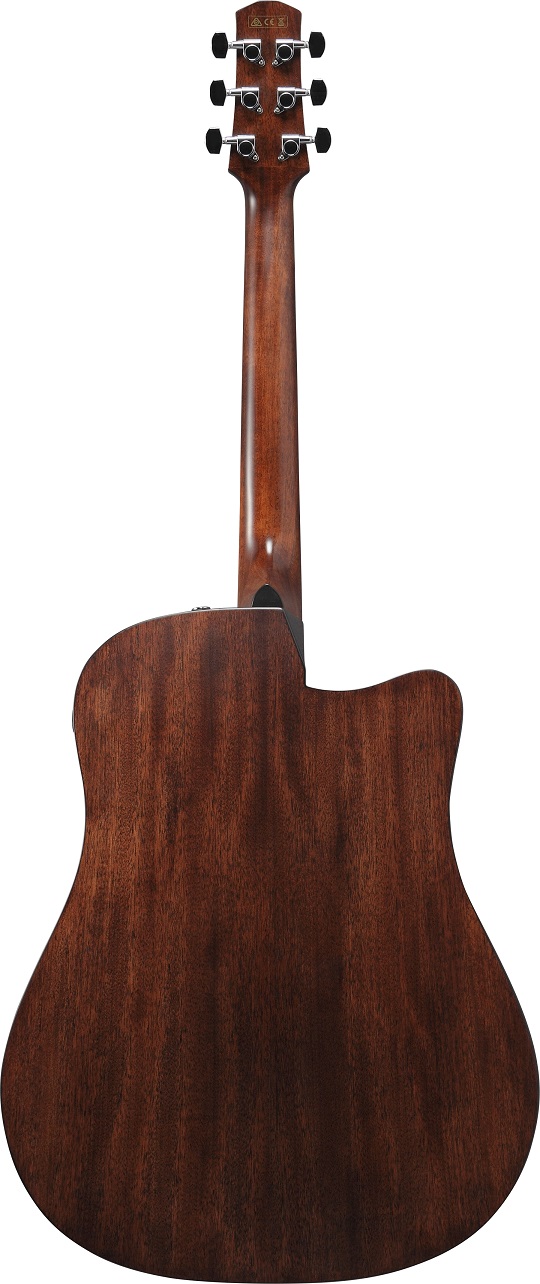 Ibanez-AAD170LCE_2