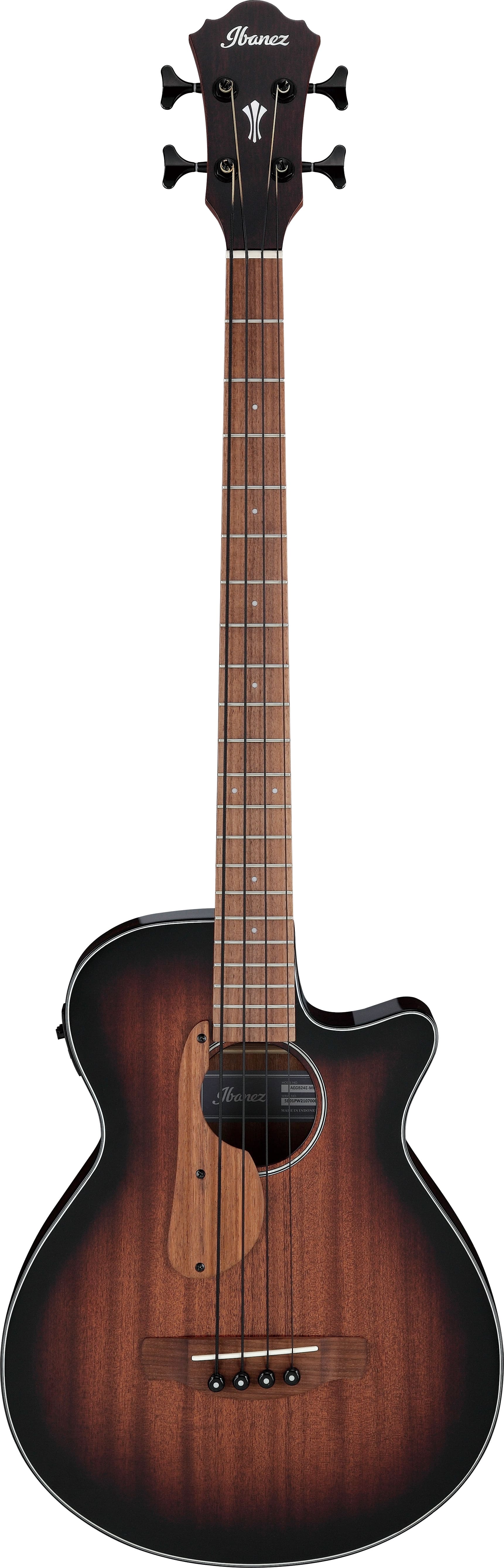Ibanez AEGB24E-MHS