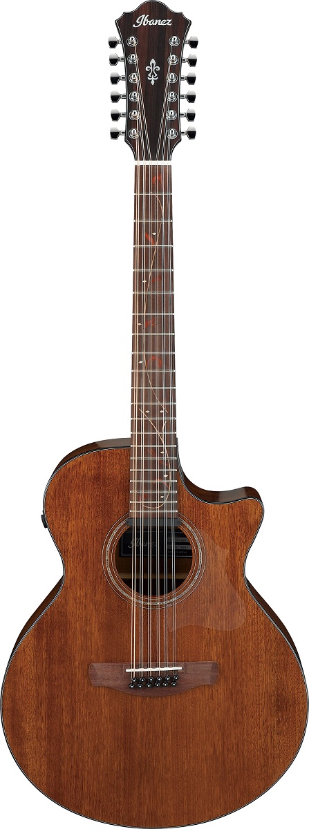 Ibanez AE2912-LGS