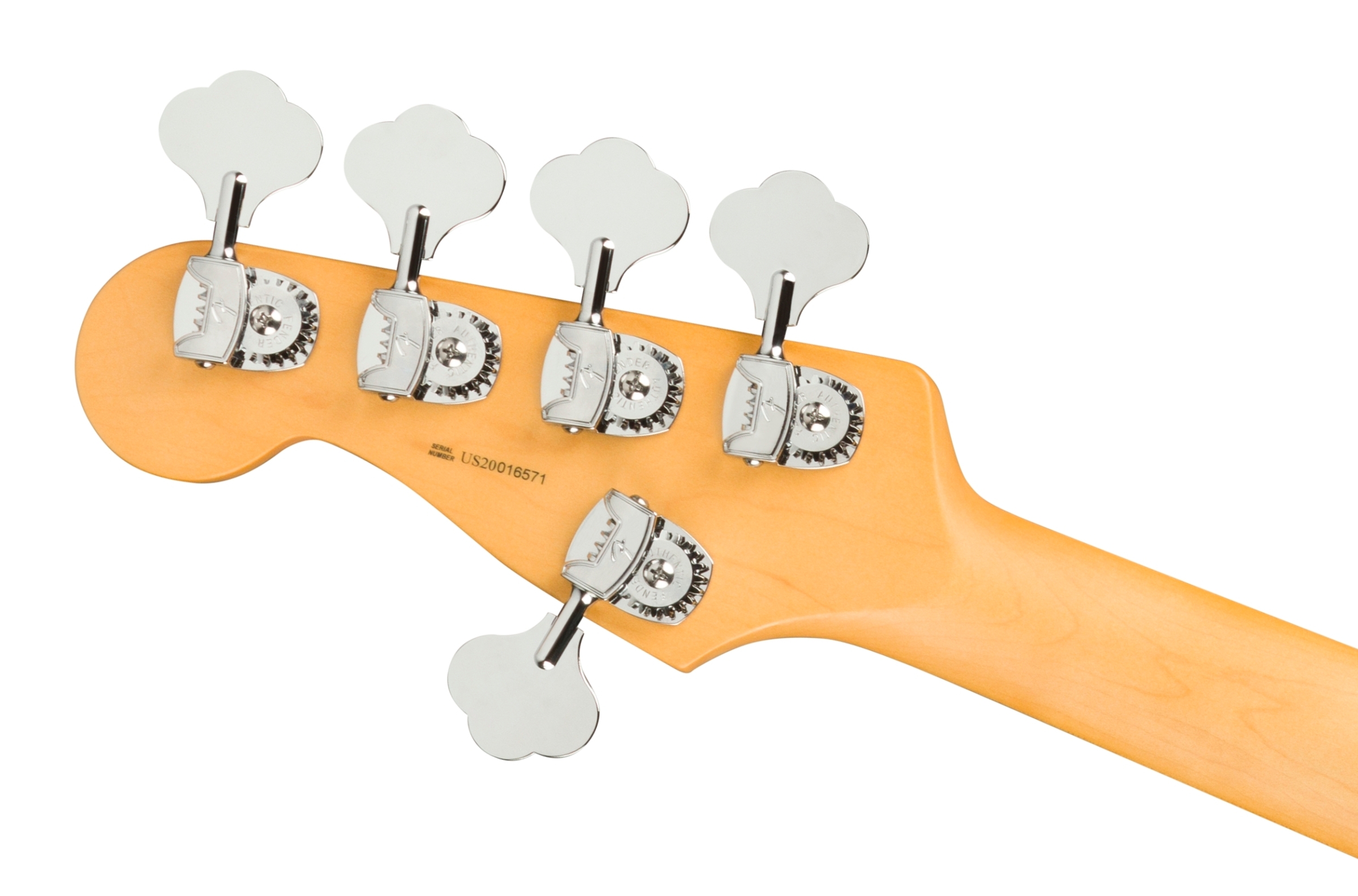 Fender-AM-Pro-II-Precision-Bass-V-MN-MBL_6