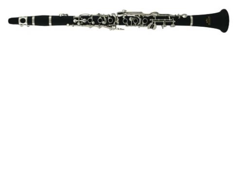 Roy Benson CG-220 Bb Klarinette