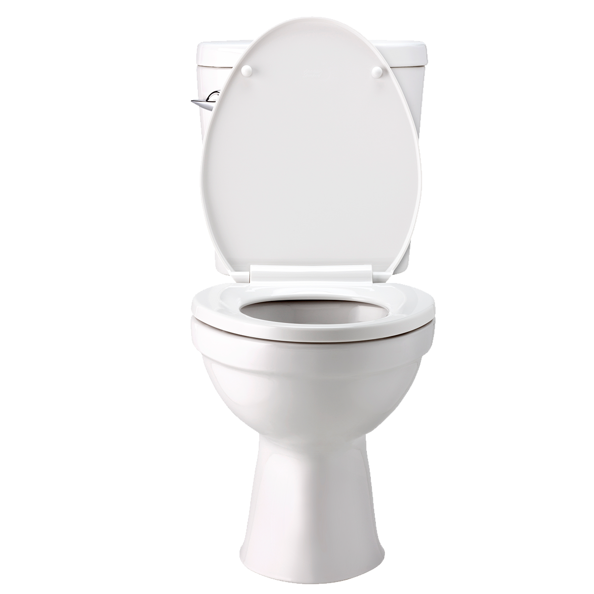 Toilette (Wunschprodukt)