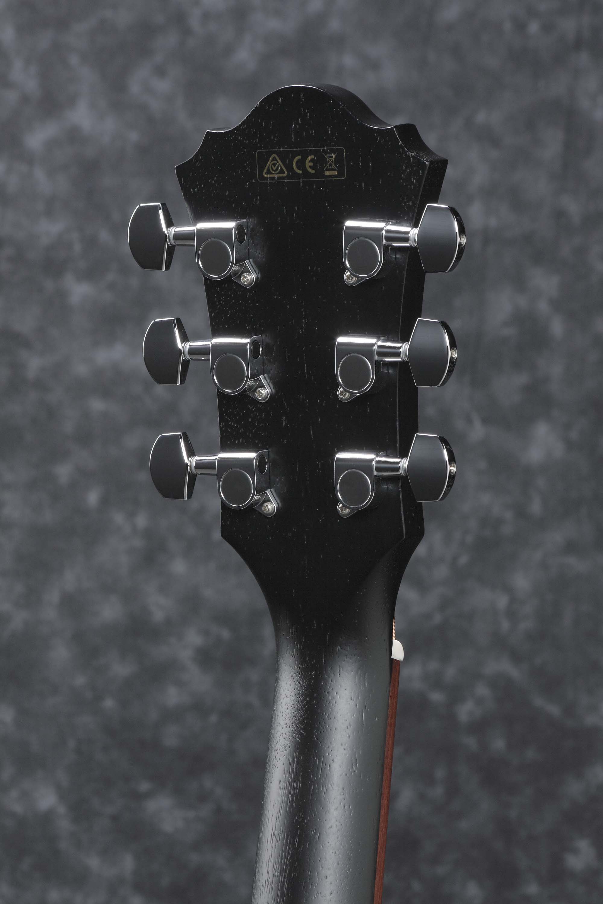 Ibanez-AE295-WK_3