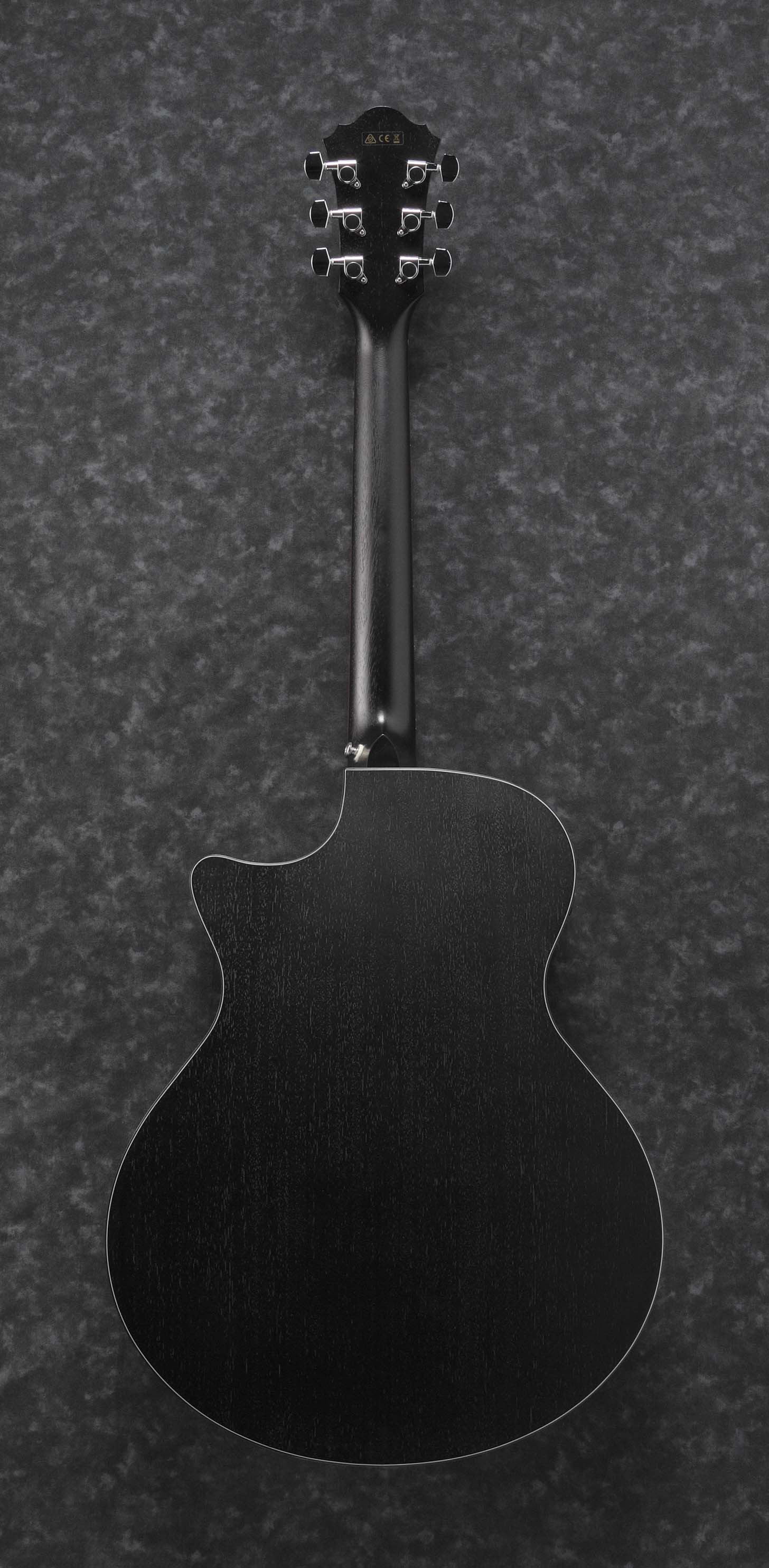 Ibanez-AE295-WK_2