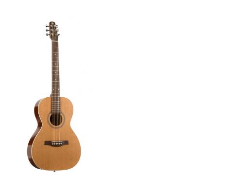 seagull-coastline-cedar-grand