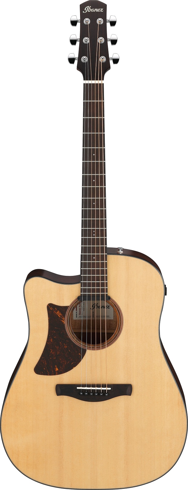 Ibanez-AAD170LCE_1
