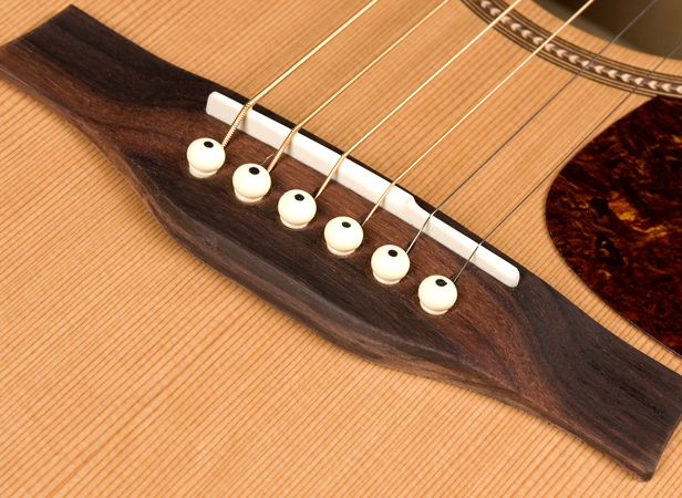 seagull-coastline-cedar-grand-4