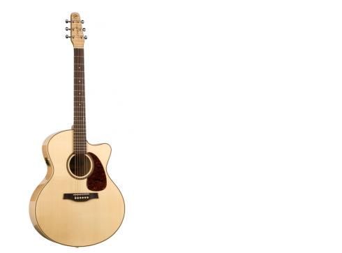 seagull-performer-cw-mini-jumbo-q1