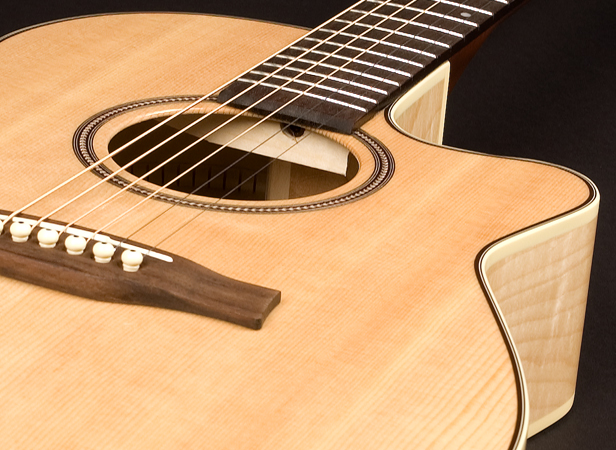 Seagull Performer CW Mini Jumbo Q1
