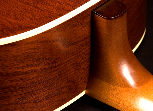 seagull-coastline-cedar-grand-3